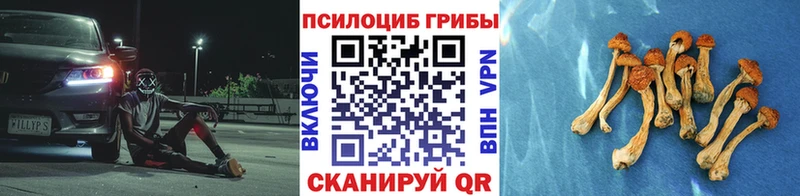 цены наркотик  Салаир  Псилоцибиновые грибы ЛСД 